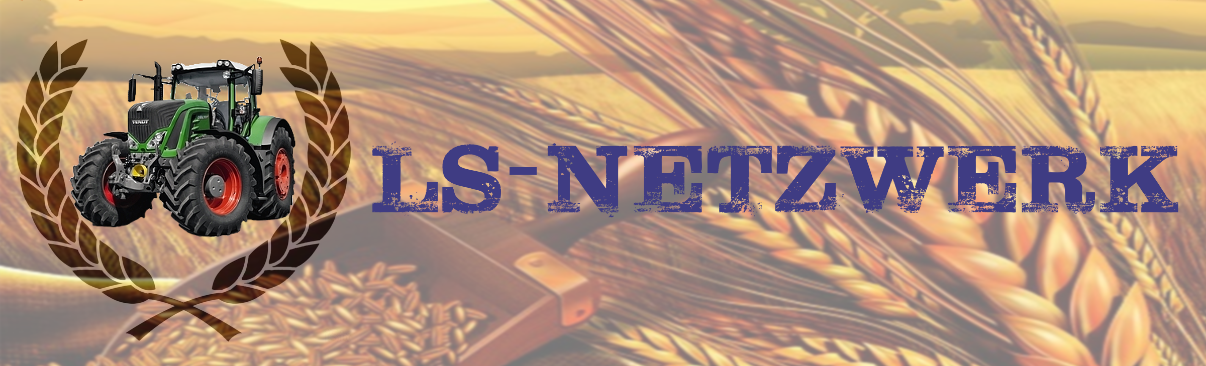 lsnetzwerk.net